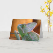 Carte Chameleon huard (Fleur jaune)