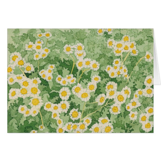 Carte Chamomiles (Devant Horizontal)