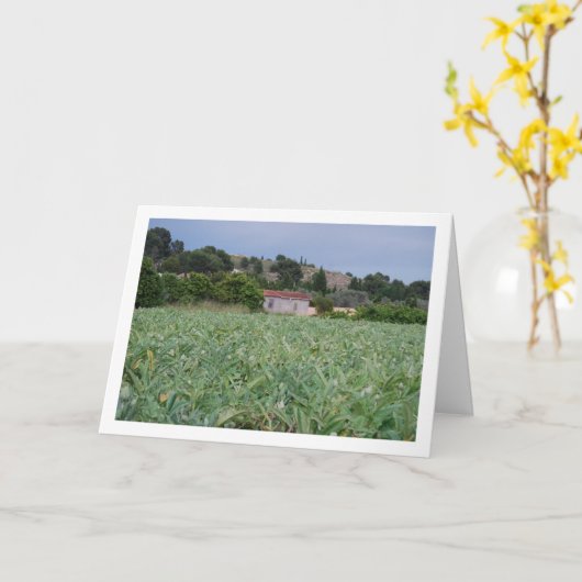 Carte Champ d'artichauts espagnols, Valence, Espagne (Fleur jaune)