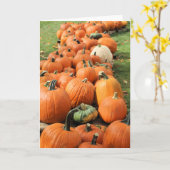 Carte Champ de citrouilles (Fleur jaune)