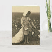 Carte Champ de coton (Devant)