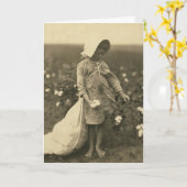 Carte Champ de coton (Fleur jaune)