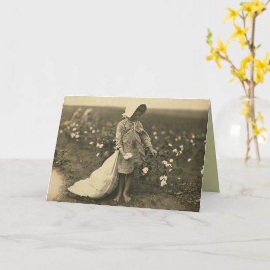 Carte Champ de coton (Fleur jaune)