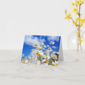 Carte Champ de marguerite (Fleur jaune)