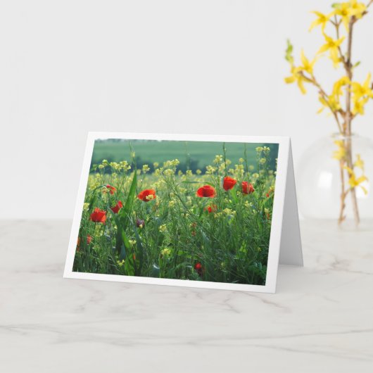 Carte Champ de pavots (Fleur jaune)