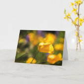 Carte Champ de pavots dansants (Fleur jaune)