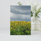 Carte Champ de tournesol. aimant (Debout devant)