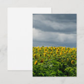 Carte Champ de tournesol. aimant (Devant / Derrière)