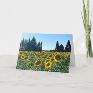 Carte Champ de Tournesols, Provence, France -