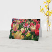 Carte Champ de Tulipes (Fleur jaune)