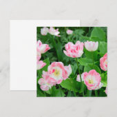 Carte Champ de tulipes roses (Devant / Derrière)