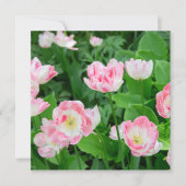 Carte Champ de tulipes roses (Devant)
