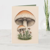 Carte champignon (Devant)