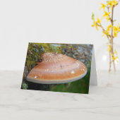 Carte champignon de la poignée (Fleur jaune)