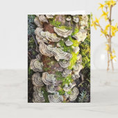 Carte Champignons à queue de dinde (Fleur jaune)