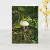 Carte Champignons dans la forêt (Fleur jaune)