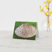 Carte Champignons dans l'herbe trouvés dans les bois (Fleur jaune)