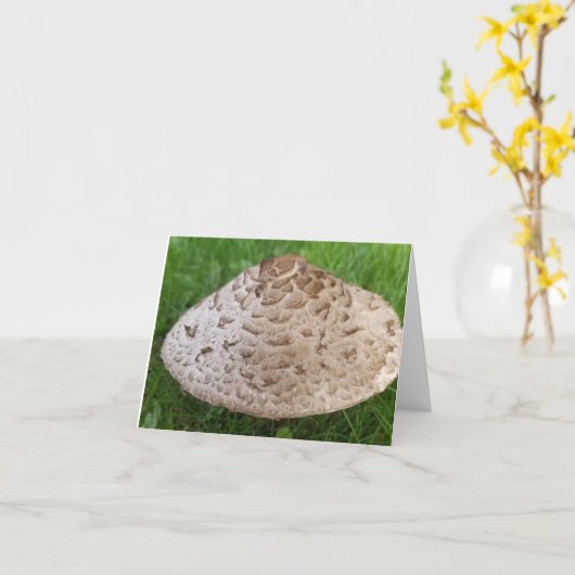 Carte Champignons dans l'herbe trouvés dans les bois (Fleur jaune)