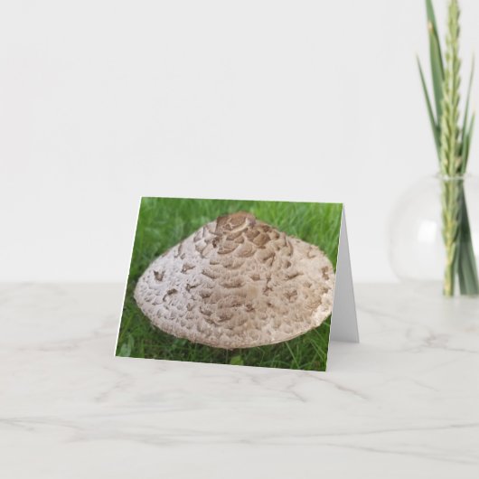 Carte Champignons dans l'herbe trouvés dans les bois (Devant)