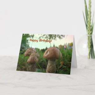 Carte Champignons de campagne Joyeux anniversaire