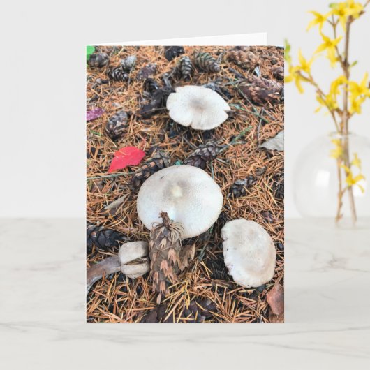 Carte Champignons et cônes de pin (Fleur jaune)