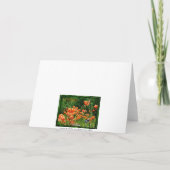 Carte Champs des lis (Dos)