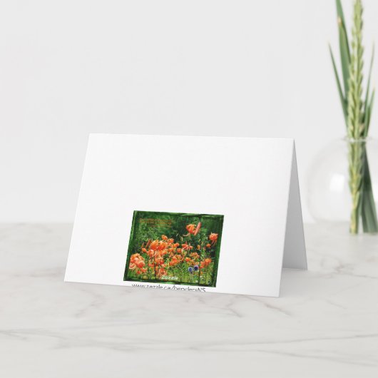 Carte Champs des lis (Dos)