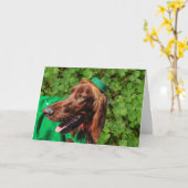Carte Chance Irish Setter St. Patrick's Day Greeting Car (Fleur jaune)
