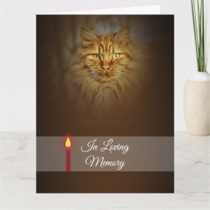 Carte Chandelle rouge photo face chat gingembre Person