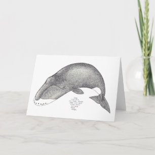 Carte chansons de baleine
