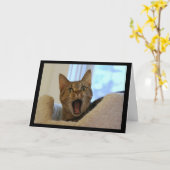 Carte Chant de chat Joyeux anniversaire (Fleur jaune)