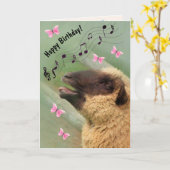 Carte Chanter des moutons Joyeux anniversaire (Fleur jaune)