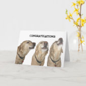 Carte Chanter tes compliments (Fleur jaune)