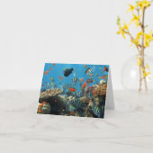 Carte Chaos de la pêche tropicale (Fleur jaune)