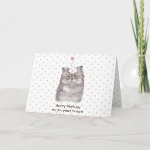 Carte Chapeau de célébration de fête Chat persan Anniver