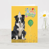 Chapeau de fête jaune d'anniversaire pour chien Bo