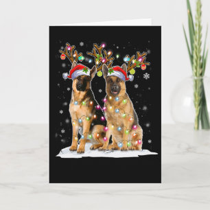Carte Chapeau de Renne Malinois Belge Santa Noël Lumière
