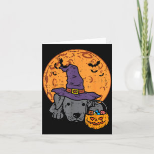 Carte Chapeau de sorcière de Pitbull Citrouille d'Hallow