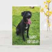 CARTE CHAQUE JOUR AVEC VOUS EST SPÉCIALEMENT SOUHAITS D' (Fleur jaune)