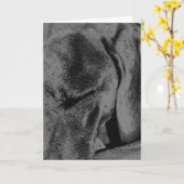 Carte Charbon de bois Ruka (Fleur jaune)