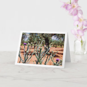 Carte Charbon de coton, Plante de l'Onopordum