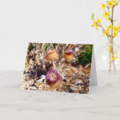 Carte Chardon (Fleur jaune)