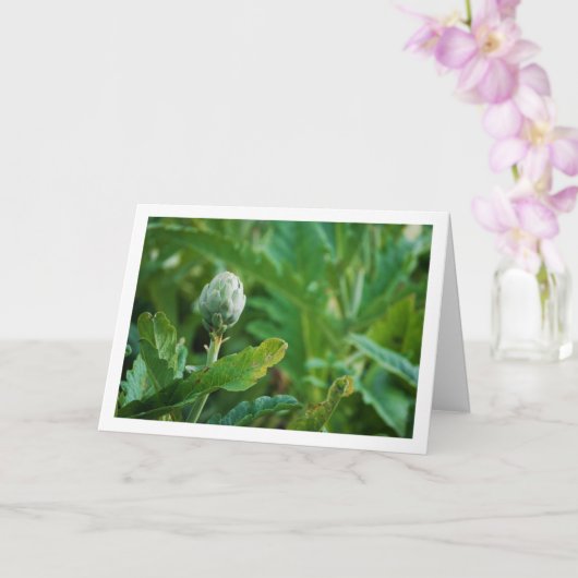 Carte Chardon Artichaut Globe Plante (Orchidée)