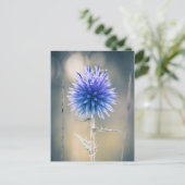 Carte Chardon bleu (Debout devant)