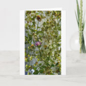 Carte Chardon et trèfle glacés, (Devant)