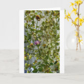 Carte Chardon et trèfle glacés, (Fleur jaune)