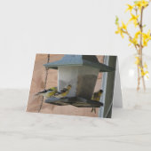 Carte Chardonneret/acclamation (Fleur jaune)