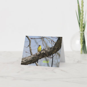 Carte Chardonneret, lumineux et joyeux