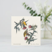 Carte Chardonnerets de John James Audubon (Debout devant)