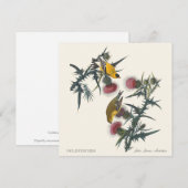 Carte Chardonnerets de John James Audubon (Devant / Derrière)